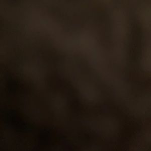 Meet your Posher, Timothy